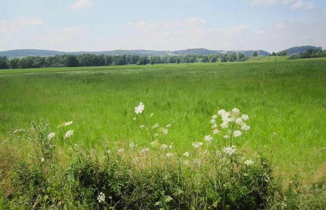 Holiday Home in Lissendorf by Forest - Photo 30
