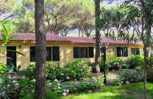 Residence with swimming-pool in Arborea just 300 meters from the beach - Foto 25