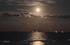 Residence Adriatico - Foto 17