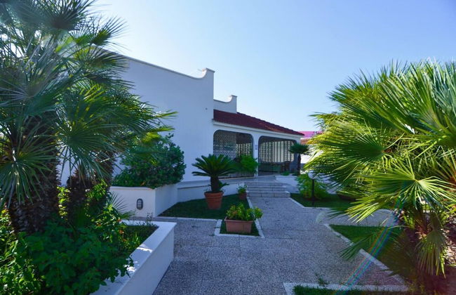 Villa Casa Kasijan Zadarvillas - Foto 34