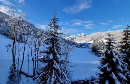 TARDEVANT 21 - Photo 17