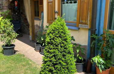 Ferienwohnung Fuchsbau - Foto 8