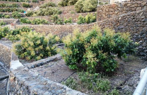 Independent house in rural setting - Foto 7