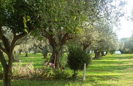 Nafpaktos cottage by the sea for travelers and dreamers! - Foto 80