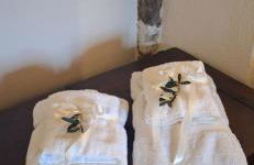 Casa del Contadino Rapale - Foto 22