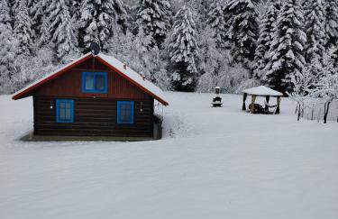 Chata pod lasem - Foto 6