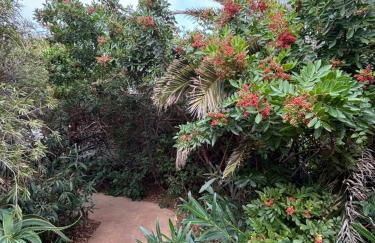 Apartamentos y Habitaciones Villa Marina - Foto 38