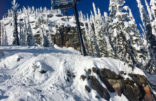 Charming and Cozy Private Home Walking Distance to Downtown - Foto 22