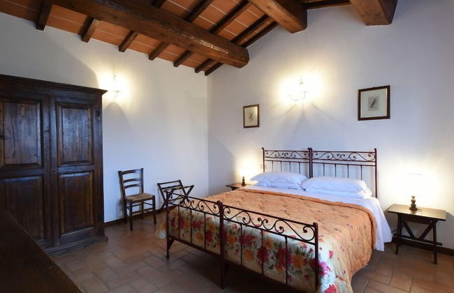 Agriturismo Miralduolo - Foto 29