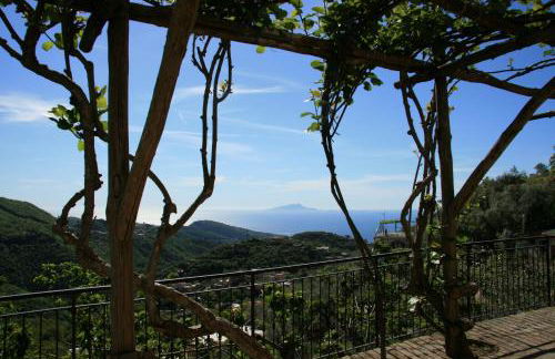 Angolo di Paradiso Sorrento Coast - Foto 44