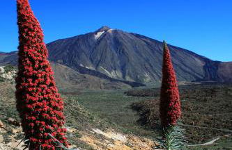 Casa Ivonne - San Isidro - Foto 1