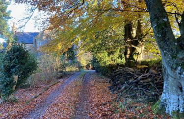 Beautiful Listed Mansion with incredible woodland views - Photo 75