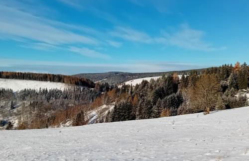 Lauschablick FeWo Thüringen - Foto 20