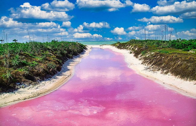 Location Location Location Best Beachfront Spot in El Cuyo With Stunning Views - Photo 35