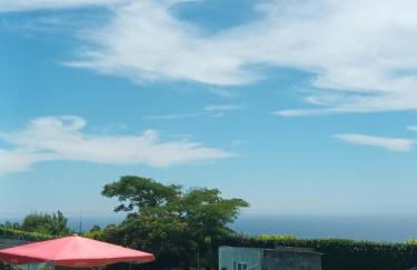 Quinta da Carlota - Photo 19