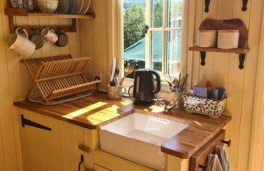 Shepherd's Hut in heart of the Brecon Beacons - Photo 36