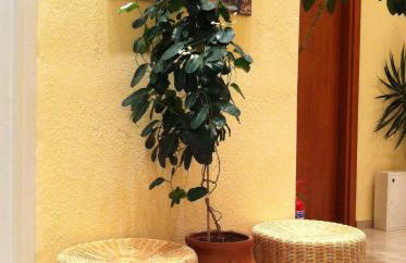 Loxandra Studios - Foto 51