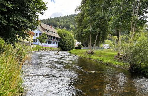 Ferienwohnung Kinzig-Chalet - Balkon - Für Kinder - mit Bettwäsche & Handtücher - Foto 23