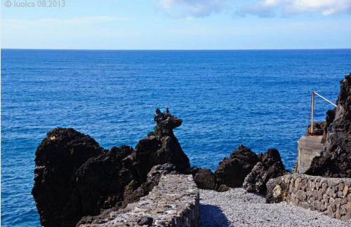 AL - Adega do Terra - Photo 6