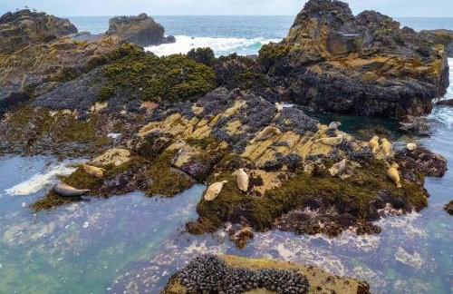 Driftwood Lodge~5 BR/7 Bath~30-acre Private Estate - Foto 22