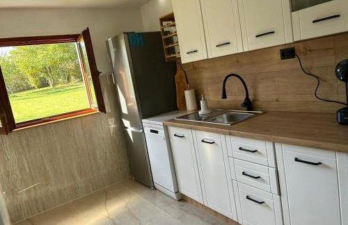 Seosko Imanje Na Obali Rijeke - Foto 27