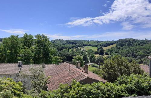 Le Petit Figuier - Foto 13