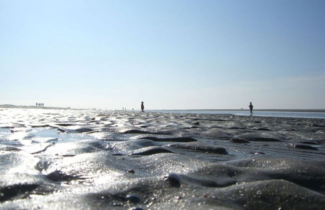 Klabautermann Maywald - Foto 4