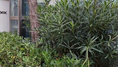 Vista sul Mare - Foto 3