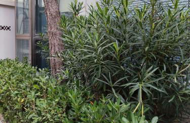 Vista sul Mare - Foto 3