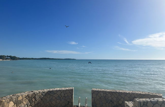 The Belair - Photo 20