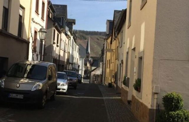 Uitzicht op de Moezel in Urzig - Photo 18