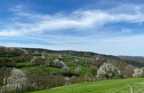 Ferienwohnung Burg Hausen - Foto 52