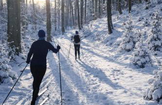 Ostoja Wycinki domki letniskowe - Foto 5