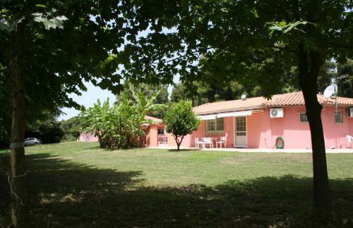 Terry Land Village - Foto 32