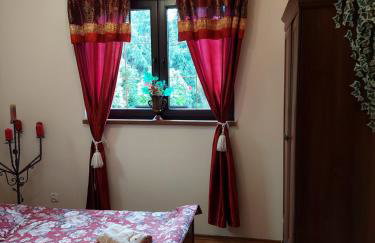 Bieszczadzki Dworek - Foto 30