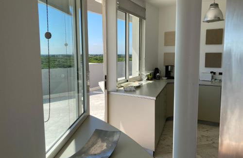 Penthouse Bellavista - Foto 17