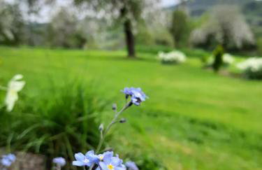 Gospodarstwo Gościnne Księżycówka - Foto 40