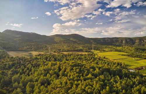 La Muntanera - Eco-friendly apartment - Foto 30