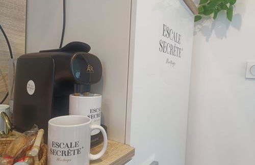 Escale secrète Montargis Jacuzzi Terrasse Parking gratuit - Photo 18