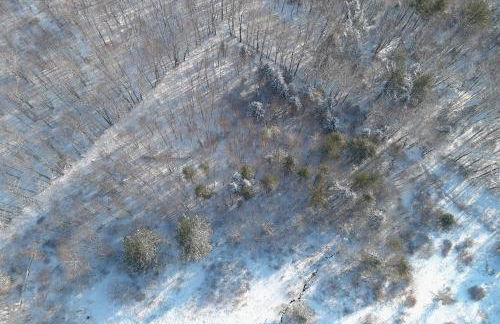 Timber Riverhouse - Foto 59