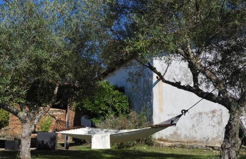 Quinta da Alagoa - Foto 12