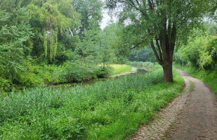 Huize van Neijenhoff - Foto 28