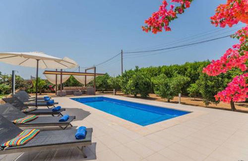 Finca Amer - Foto 23