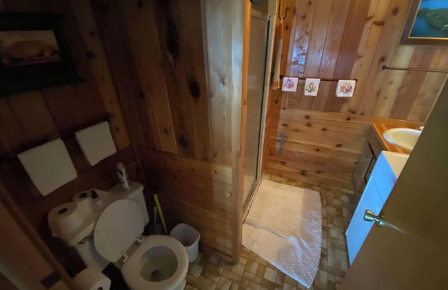 Two Bear Lodge on Lost Land Lake - Photo 9