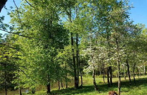 Pond View ( Second bedroom at extra cost) - Foto 11