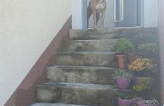 Villa Thalia - Foto 50