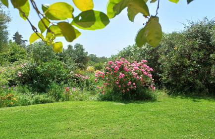 Monte Da Serralheira Agro Turismo - Foto 72