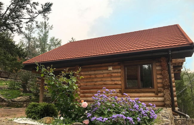 Villa Baikal Prestige - Photo 12