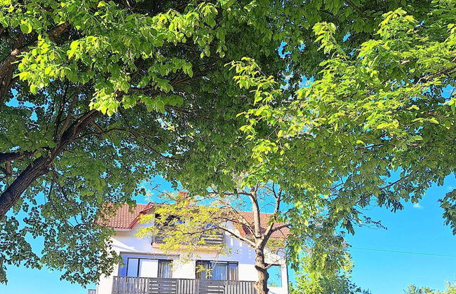 Apartments Villa Mavi - Foto 31