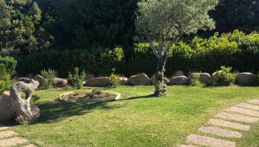 Agriturismo Fioredda - Foto 5, Garden